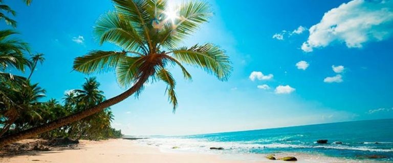 Obtaining forex license in Vanuatu